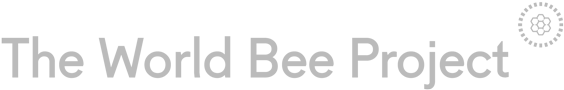 World Bee Project